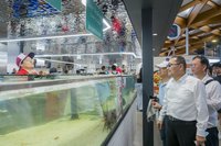 考察雪梨魚市場　侯友宜：借鏡國際經驗改造市場