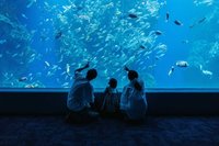 台中兒童節免費好康捐書遊海洋館 12歲以下童玩樂園