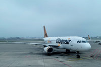 福岡返台航班遇宵禁　旅客：感受虎航彌補誠意