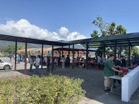 清明將至  花蓮推「以花代香」綠色掃墓免費供鮮花