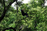 南投奧萬大7月暑期營隊　帶領孩童深度體驗山林