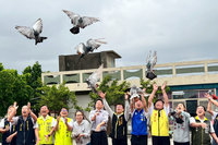 台南學甲推廣放鴿笭文化　擬開辦體驗活動