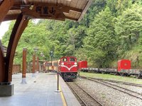 阿里山林鐵誤點38分鐘疑人為疏失　林鐵處究責