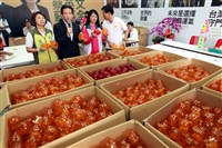 陳佩琪質疑不查小豬撲滿　蔡辦：募款申報依法合規