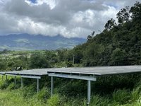 台東男朝鄰居開槍逃逸 躲山區6天吃野菜度日投案
