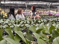 台美新經貿　蘭花業者籲思考貼近市場在地化生產