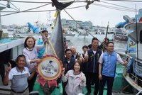 屏東第一鮪拍賣　每公斤1萬600元創新高