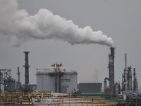 中油新四輕獲進展　方振仁：已與高市府取得減碳共識