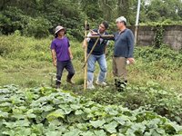 串聯草鴞棲地　台南推動生態給付擴展至9行政區