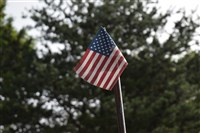 中國「武器化」出生公民權　美法案嚴管代孕補國安破網