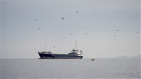 路透：美軍通知海員　將在阿曼灣及阿拉伯海實施封鎖