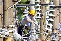油電糖水4家國營事業招考394名新血　起薪4.6萬元