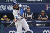 經典賽接賽季疲勞仍維持手感　張育成暫居打擊王