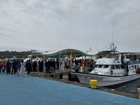 花蓮賞鯨季開跑　業者齊宣示打造友善賞鯨環境