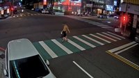 台中男闖紅燈過馬路  警攔查遭辱罵反抗依法送辦