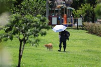南屏防高溫　吳德榮：23日起雨區由北而南擴大