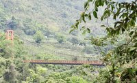 高雄梅山吊橋復建開工 可通行2.5噸貨車及救護車