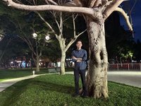 竹北打造「樹怪森林」　童趣裝置邀民眾體驗