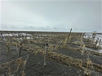 國發基金挺地方創生　振興融資方案受理期限展延1年