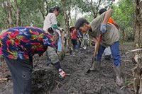 林業署攜手居民學生自然手作 為陸蟹打造濕潤棲地
