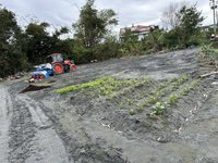 花蓮馬太鞍溪災後復耕　農改場助改善農田土壤環境