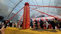 惠光5隻導盲犬出社會了　阮昭雄頒畢業證書