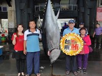 台東第一鮪逾175公斤上岸　縣府將發20萬元獎勵
