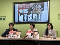德以代表籲勿輕率用納粹比喻　綠：勿用仇恨語言