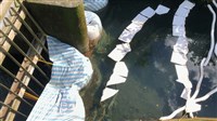 基隆強化查緝水污染　吹哨者獎金最高罰鍰5成