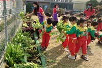公營公司設立非營利幼兒園使用公有房地　免徵房地稅
