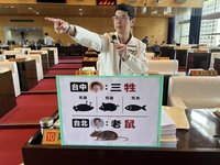 議員擔心鼠患　盧秀燕：加強環境清理防漢他病毒
