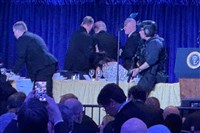 白宮記協晚宴槍擊案　美情報：伊朗戰爭疑為導火線