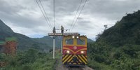 樹倒壓電線台鐵山里至鹿野間不通　預計下午3時修復