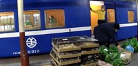 動保團體指活體當貨物運送如虐待　農業部擬規範
