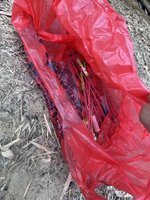 疑放沖天炮趕猴群不慎引燃竹林　高雄婦葬身火場
