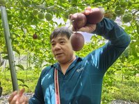因應食安與產地標準提高　家樂福契作占比飆8至9成
