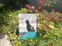 老舍科幻小說「貓城記」 先見之明諷刺失序現代文明