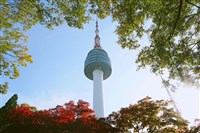 台灣旅客赴韓首季成長38%　全年可望達232萬人次