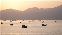 5月15日　美伊戰爭對國際經濟、財經市場與民生衝擊
