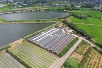 桃市首創光電設置指引　嚴控4關鍵點對環境負責