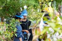 逢阿勃勒花季　嘉義市結合皮克敏打造療癒散步之旅