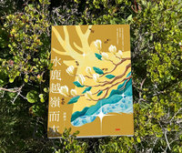 涂瀞尹小說水鹿越嶺而來　覓尋台灣人跨國打拚足跡