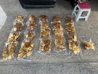 製毒廠藏屏東廢農舍 抄百公斤原料可製10萬毒咖啡包