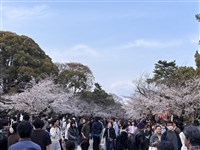4月中國赴日遊客大減57%　外國遊客卻創今年新高