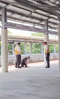 男子跳下月台橫越鐵道　鐵警：最重裁罰5萬元