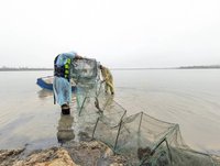 金門慈湖濕地查緝非法網具  金管處評估設監視器