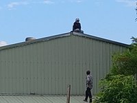 涉偷7顆哈密瓜爬屋頂對峙  越籍女失聯移工送辦