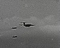 16架次共機配合共艦戰備警巡　國軍披露監控畫面