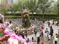 「潦草小狗」太吸睛  上海花卉節帶動90億銷售額