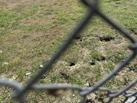 網指基隆南站草地成老鼠窩  台鐵遭罰9600元